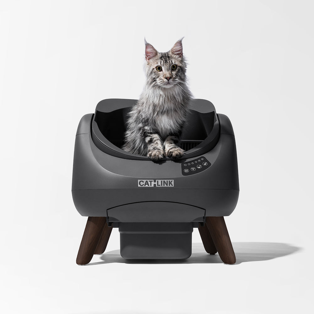 Cleaning with the CATLINK Scooper Open-X: How to Keep Your Home Freshe