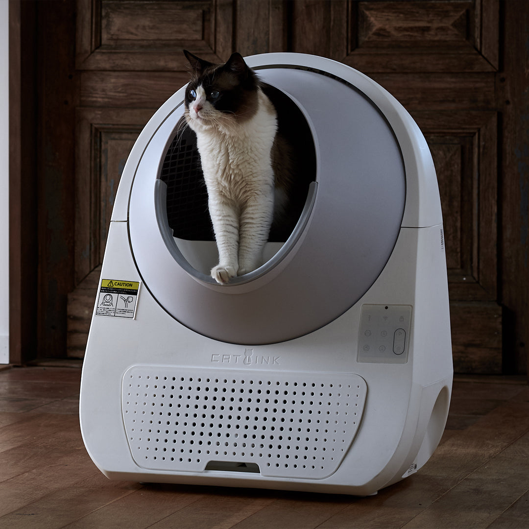 Catlink Litter Box Free your hands