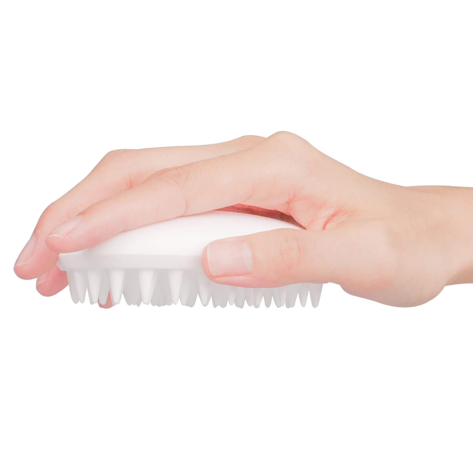PAW IN HAND Pet Bath & Massage Brush