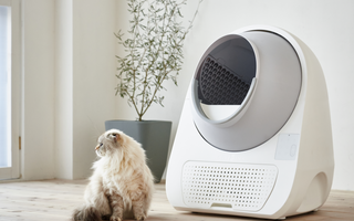 Why Won't Your CATLINK Device Connect to Wi-Fi? Troubleshooting Guide