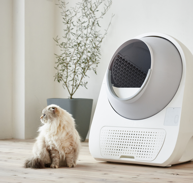 Why Won't Your CATLINK Device Connect to Wi-Fi? Troubleshooting Guide