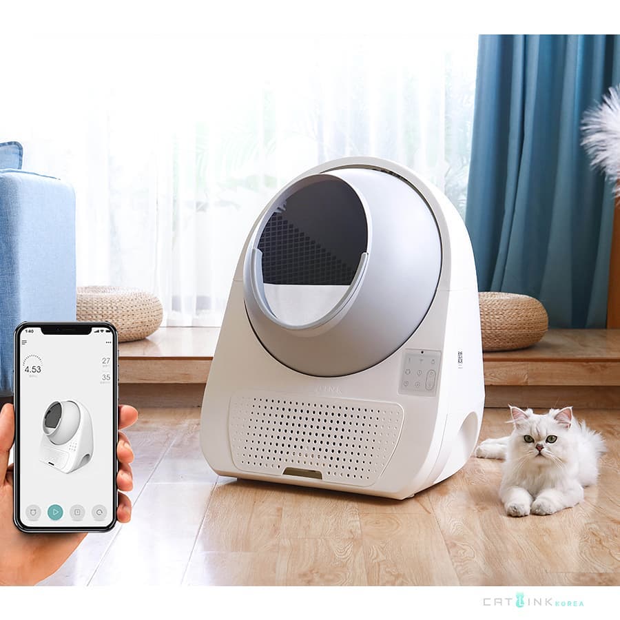 How Long Can a Cat Go Without Pooping? CATLINK