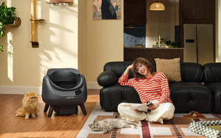 The CATLINK Story: How We Designed the Open-X Litter Box