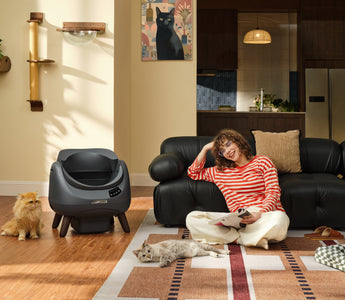 The CATLINK Story: How We Designed the Open-X Litter Box