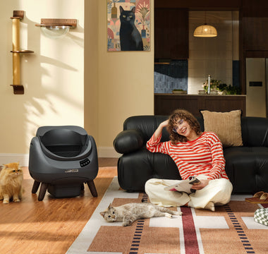 The CATLINK Story: How We Designed the Open-X Litter Box