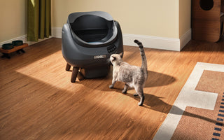 Open-X and Scooper SE: A Complete Review and Model Comparison