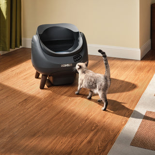 Open-X and Scooper SE: A Complete Review and Model Comparison