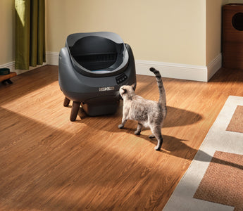 Open-X and Scooper SE: A Complete Review and Model Comparison