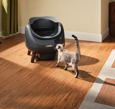 Open-X and Scooper SE: A Complete Review and Model Comparison