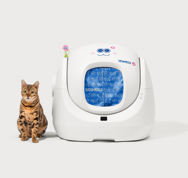 Why Is My Cat Going Outside the Litter Box?