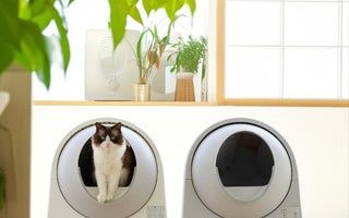 918 Pro Series Litter Box Comparison: Which One Is Right for Your Cat?