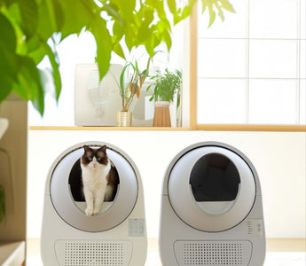 918 Pro Series Litter Box Comparison: Which One Is Right for Your Cat?
