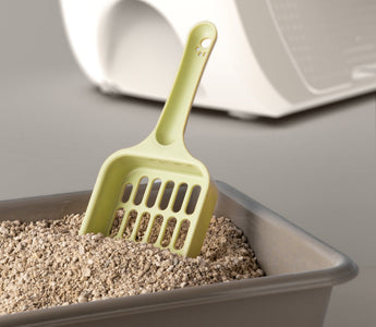 Why Does Cat Litter Box Smell So Bad?