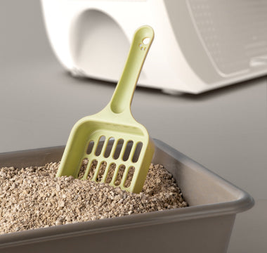 Why Does Cat Litter Box Smell So Bad?