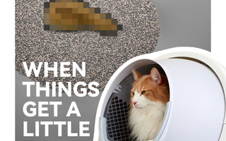 Got Sticky Poop in Your Litter Box? Here's How to Fix It