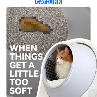 Got Sticky Poop in Your Litter Box? Here's How to Fix It