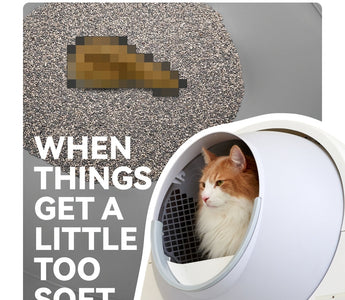 Got Sticky Poop in Your Litter Box? Here's How to Fix It