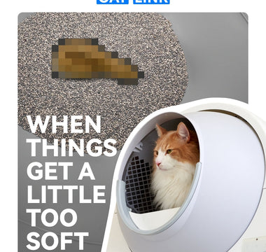 Got Sticky Poop in Your Litter Box? Here's How to Fix It