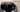 What Breed of Cat is a Tuxedo Cat? 2026 Guide to Genetics & Care