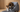 How to Stop Your Cat from Peeing Along the Edge of the Litter Box: The Design Thinking Behind CATLINK