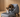 How to Stop Your Cat from Peeing Along the Edge of the Litter Box: The Design Thinking Behind CATLINK