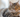 Why Will We Need a Smart Litter Box with a Camera in 2026?
