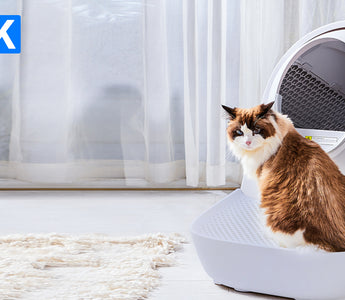 About CATLINK’S Self Cleaning Scooper