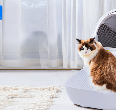 About CATLINK’S Self Cleaning Scooper
