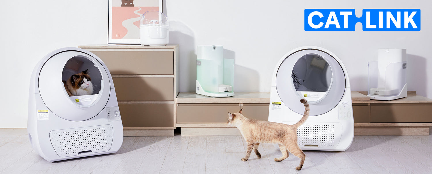 About CATLINK