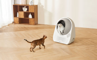 Scooper Pro Ultra Unveiled: The Smart Litter Box That Solves Multi-Cat Chaos