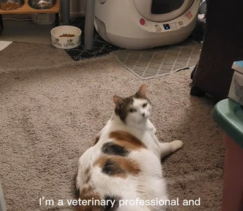 CATLINK Story: Veterinary Nurse Jenny’s Experience with CATLINK Litter Boxes