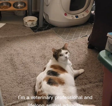 CATLINK Story: Veterinary Nurse Jenny’s Experience with CATLINK Litter Boxes