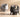 Scottish Fold Cat Breed Guide: Health, Personality & Care (2026)