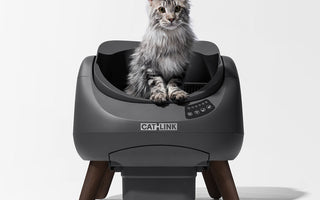 Cleaning with the CATLINK Scooper Open-X: How to Keep Your Home Fresher Than Ever