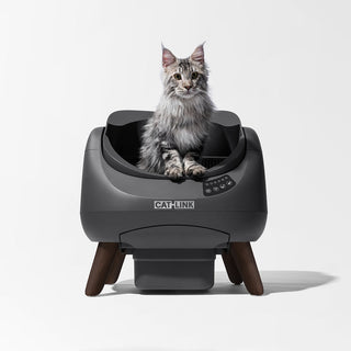 Cleaning with the CATLINK Scooper Open-X: How to Keep Your Home Fresher Than Ever
