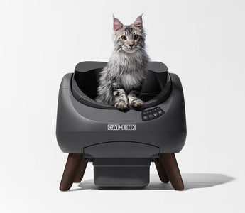 Cleaning with the CATLINK Scooper Open-X: How to Keep Your Home Fresher Than Ever