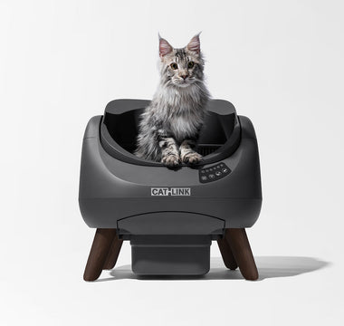 Cleaning with the CATLINK Scooper Open-X: How to Keep Your Home Fresher Than Ever