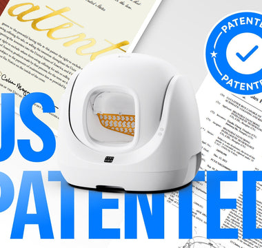 The Patent Behind the Purr: Unpacking the CATLINK Scooper SE