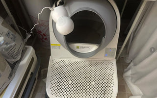 Why We Built a Litter Box with a Camera: A Story of Love, Tech, and Cat Poop