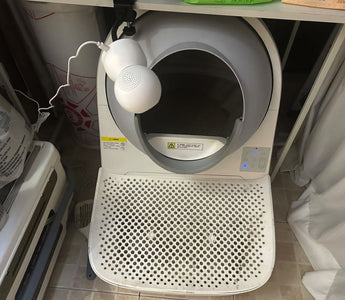 Why We Built a Litter Box with a Camera: A Story of Love, Tech, and Cat Poop