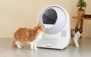The Scoop on Self-Cleaning vs. Traditional Litter Boxes: Which is Best for Your Cat?