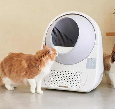 The Scoop on Self-Cleaning vs. Traditional Litter Boxes: Which is Best for Your Cat?