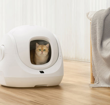 Smooth Transition: Tips for Introducing Your Cat to CATLINK's Self-Cleaning Litter Box