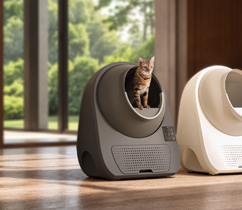Prime Day Sneak Peek: CATLINK Deals You Won’t Want to Miss