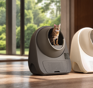 Prime Day Sneak Peek: CATLINK Deals You Won’t Want to Miss