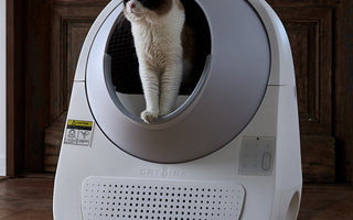 Catlink Litter Box Free your hands