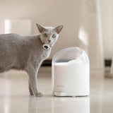 CATLINK EcoSystem Set Luxury Pro-X - Litter Box, Feeder and Water Fountain