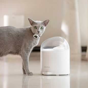 CATLINK EcoSystem Set Luxury Pro-X - Litter Box, Feeder and Water Fountain