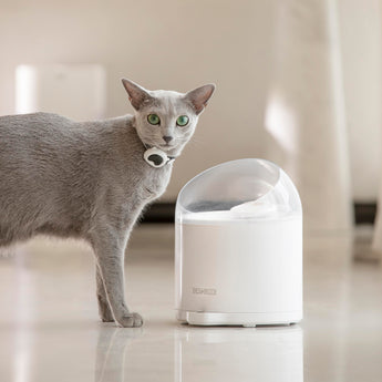 CATLINK EcoSystem Set Young Pro-X - Litter Box, Feeder and Water Fountain