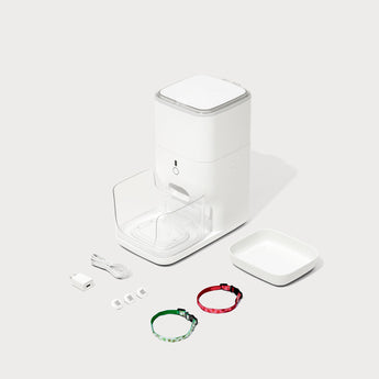 CATLINK Automatic Feeder Fresh 2